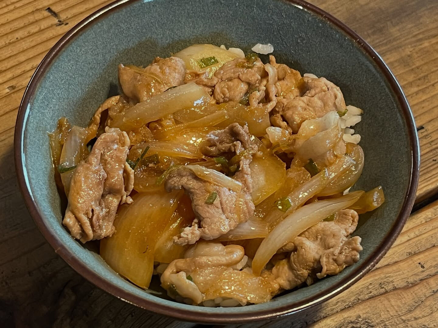 ある日の昼メシの豚丼🐽