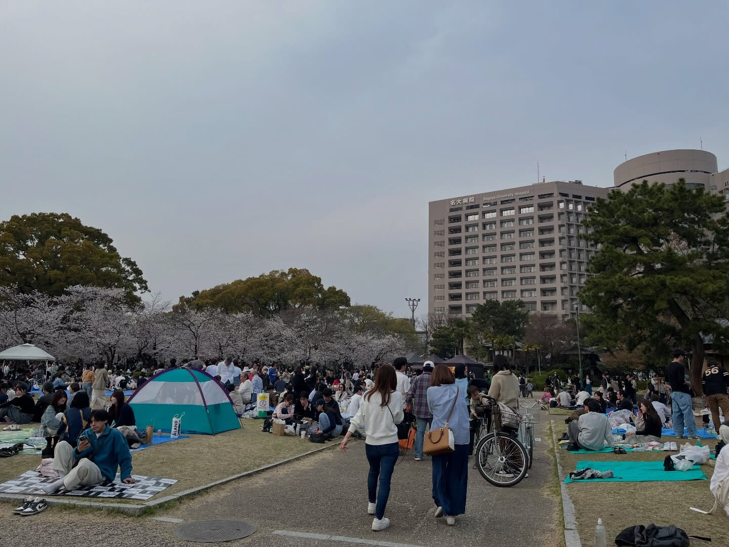 鶴舞公園の花見なう🌸